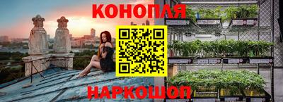 гашик Будённовск