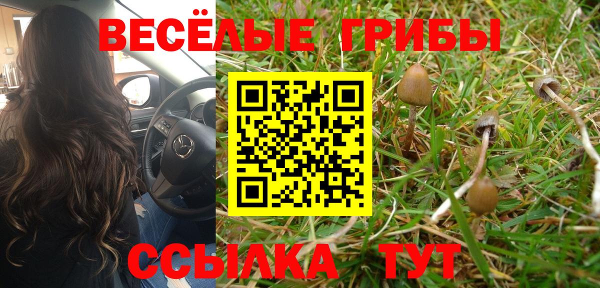 Петровск  Галлюциногенные грибы ЛСД  Вход с VPN  Псилоцибиновые грибы Psilocybe 